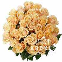 Rožu pušķis "Krēm-Brulē"