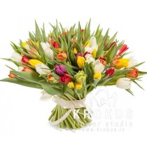 Весеннее счастье