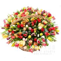 Tulpju grozs "Karaliene"